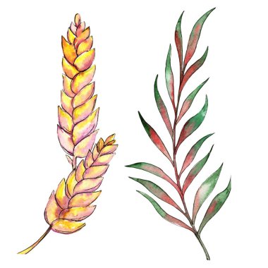 Bir suluboya tarzında izole tropikal bitki.