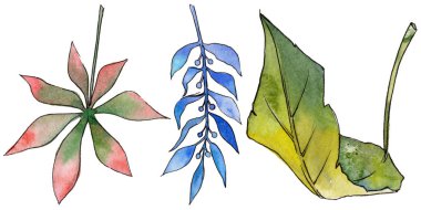 Tropikal Hawaii izole bir suluboya tarzında bırakır.