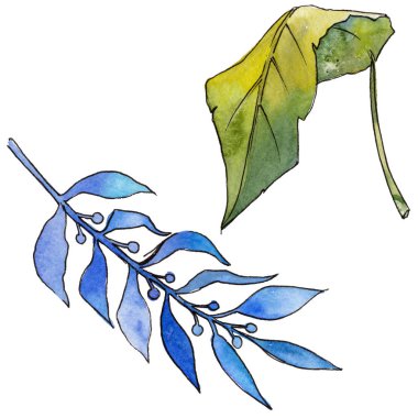 Tropikal Hawaii izole bir suluboya tarzında bırakır.