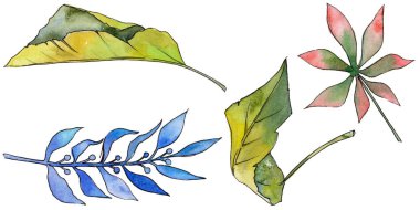 Tropikal Hawaii izole bir suluboya tarzında bırakır.