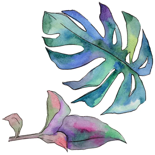 Tropikal Hawaii izole bir suluboya tarzında bırakır.