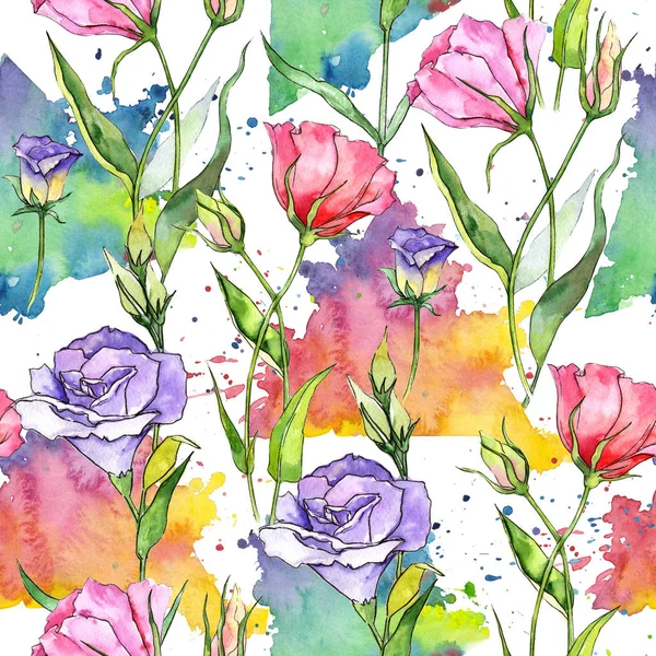 Wildflower eustoma flower in a watercolor style isolated. — Stock Photo, Image