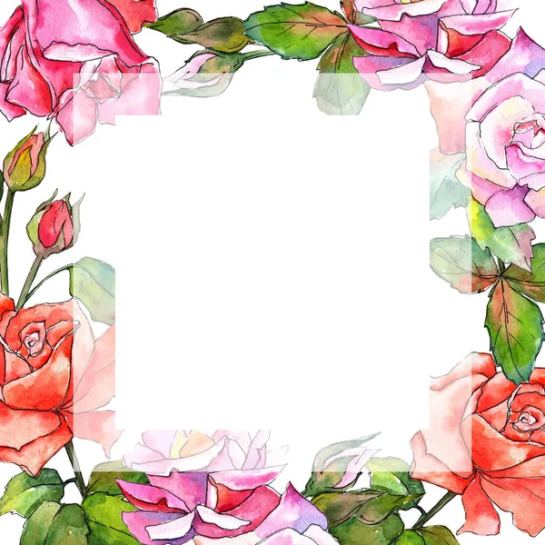 Kır çiçeği gül çiçek çerçeve suluboya tarzında.