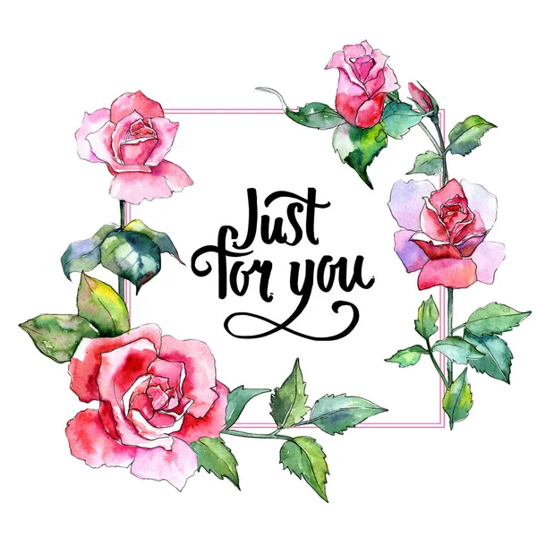 Kır çiçeği gül çiçek çerçeve suluboya tarzında.