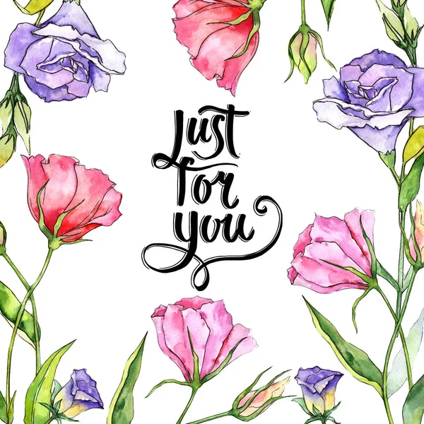 Kır çiçeği eustoma çiçek çerçeve suluboya tarzında.