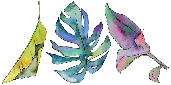 Tropikal Hawaii izole bir suluboya tarzında bırakır.