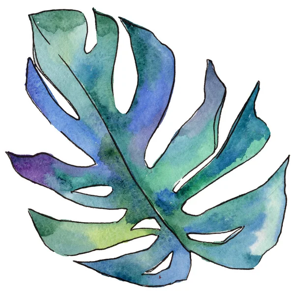 Tropikal Hawaii izole bir suluboya tarzında bırakır.