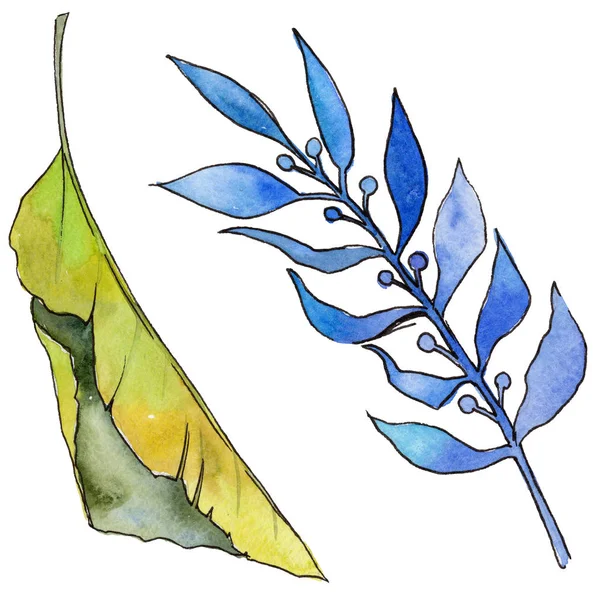 Tropikal Hawaii izole bir suluboya tarzında bırakır.