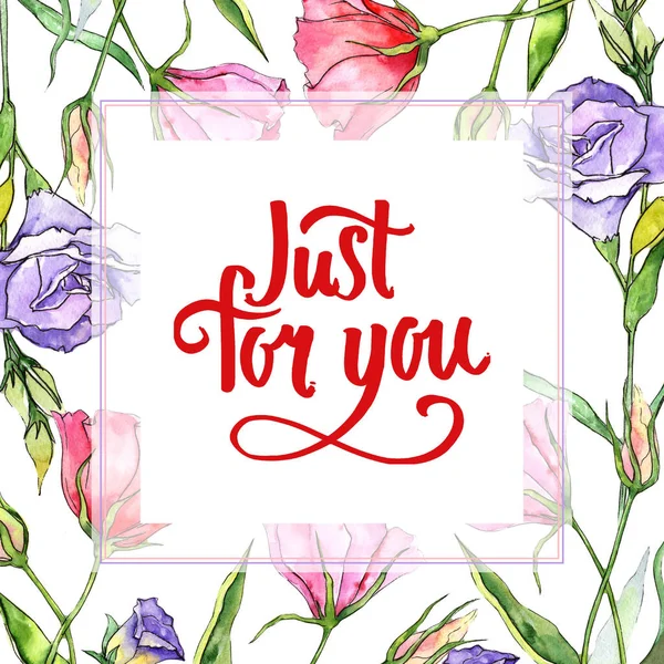 Kır çiçeği eustoma çiçek çerçeve suluboya tarzında.