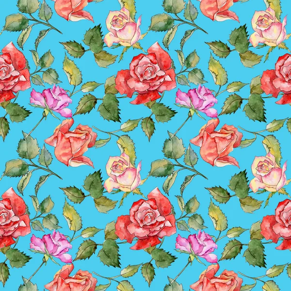 Kır çiçeği gül çiçek deseni suluboya tarzında.