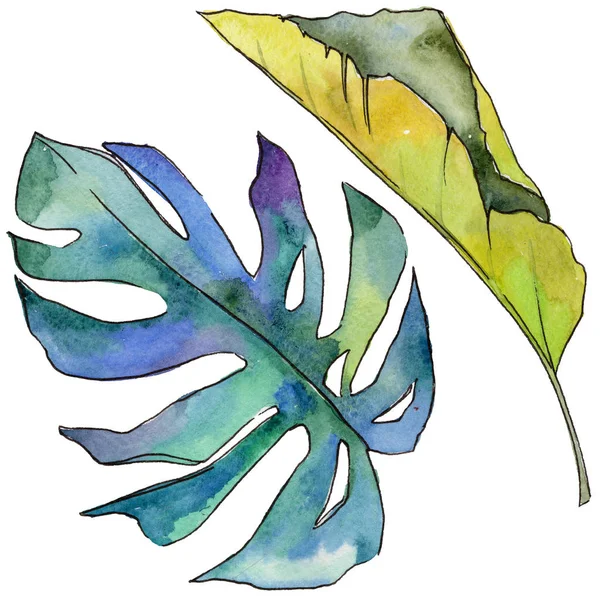 Tropikal Hawaii izole bir suluboya tarzında bırakır.