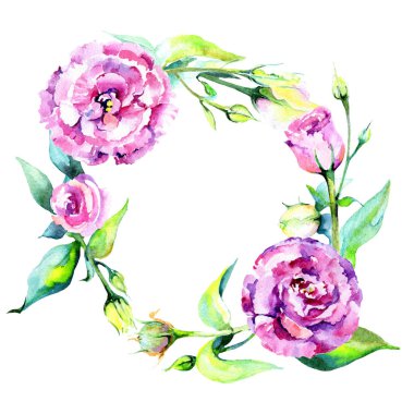 Kır çiçeği eustoma çiçek çerçeve suluboya tarzında.