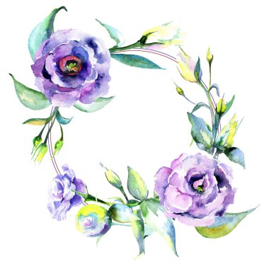 Kır çiçeği eustoma çiçek çerçeve suluboya tarzında.