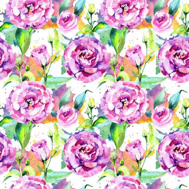 Kır çiçeği eustoma çiçek deseni suluboya tarzında.