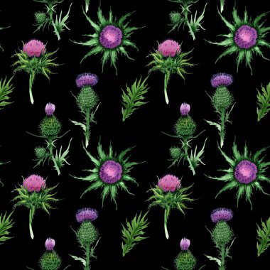 Kır çiçeği budyak çiçek deseni suluboya tarzında.