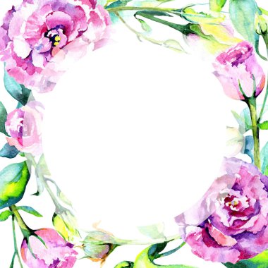 Kır çiçeği eustoma çiçek çerçeve suluboya tarzında.