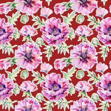 Kır çiçeği haşhaş çiçek deseni suluboya tarzında.