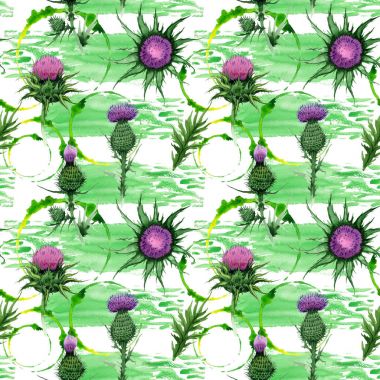 Kır çiçeği budyak çiçek deseni suluboya tarzında.