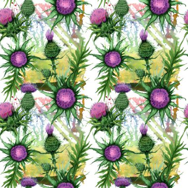 Kır çiçeği budyak çiçek deseni suluboya tarzında.