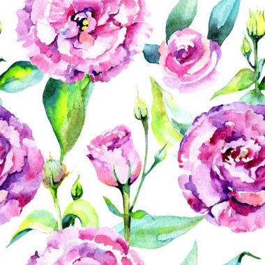 Kır çiçeği eustoma çiçek deseni suluboya tarzında.