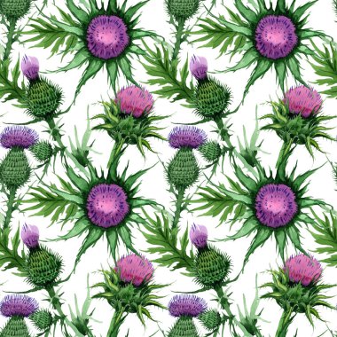 Kır çiçeği budyak çiçek deseni suluboya tarzında.