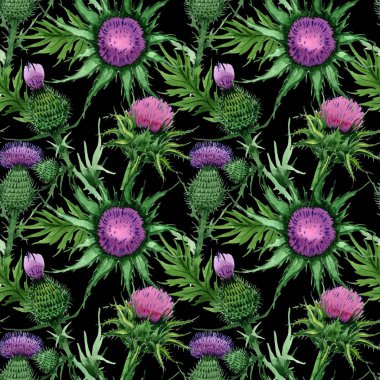 Kır çiçeği budyak çiçek deseni suluboya tarzında.