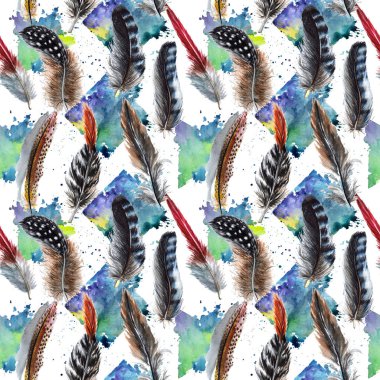 Suluboya kuş tüyü desen Wing.