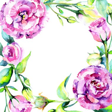 Kır çiçeği eustoma çiçek çerçeve suluboya tarzında.