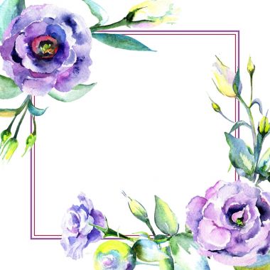 Kır çiçeği eustoma çiçek çerçeve suluboya tarzında.