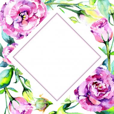 Kır çiçeği eustoma çiçek çerçeve suluboya tarzında.