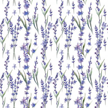 Kır çiçeği lavanta çiçek deseni suluboya tarzında.