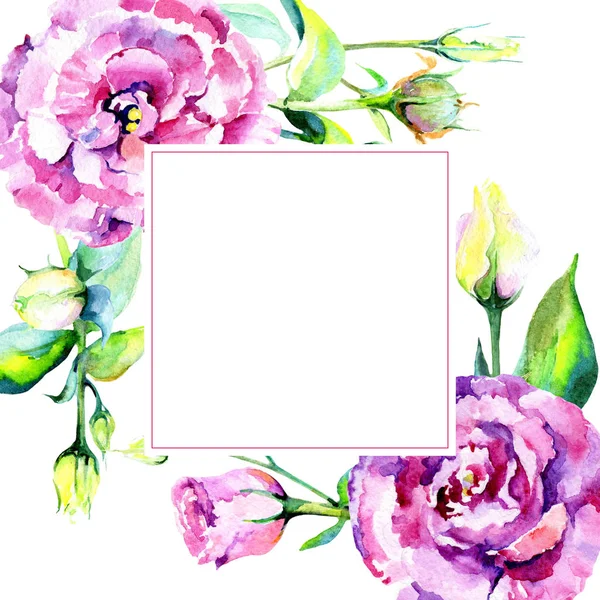 Wildflower eustoma květinový rámeček ve stylu akvarelu. — Stock fotografie