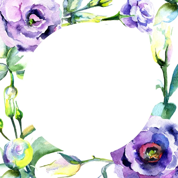 Kır çiçeği eustoma çiçek çerçeve suluboya tarzında.