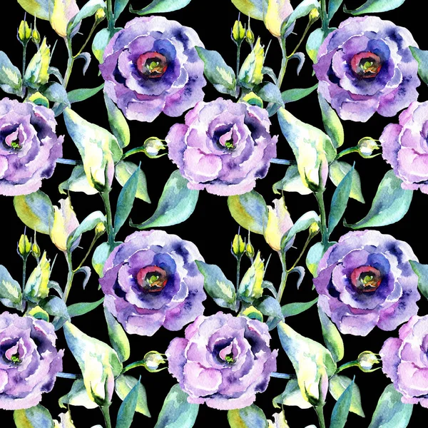 Wildflower eustoma flower pattern in a watercolor style. — Stock Photo, Image