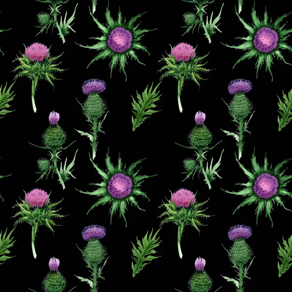 Kır çiçeği budyak çiçek deseni suluboya tarzında.