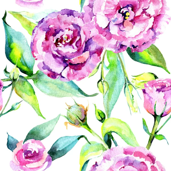 Kır çiçeği eustoma çiçek deseni suluboya tarzında.