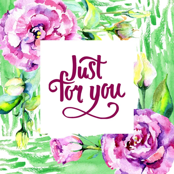 Kır çiçeği eustoma çiçek çerçeve suluboya tarzında.