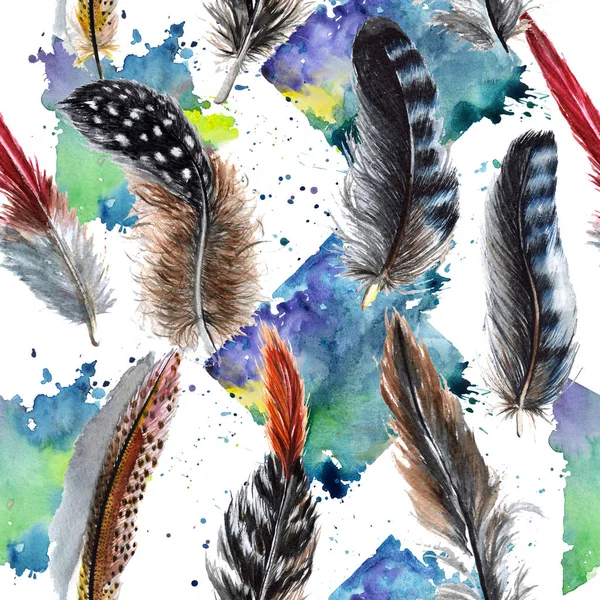 Watercolor bird feather pattern from wing. — Stock Photo, Image