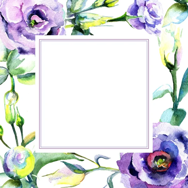 Рамка з квітів дикої квітки еустоми в акварельному стилі . — стокове фото