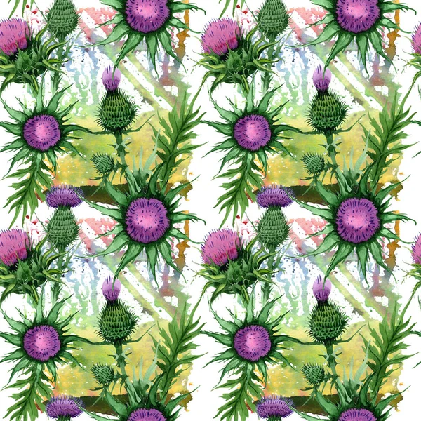 Kır çiçeği budyak çiçek deseni suluboya tarzında.