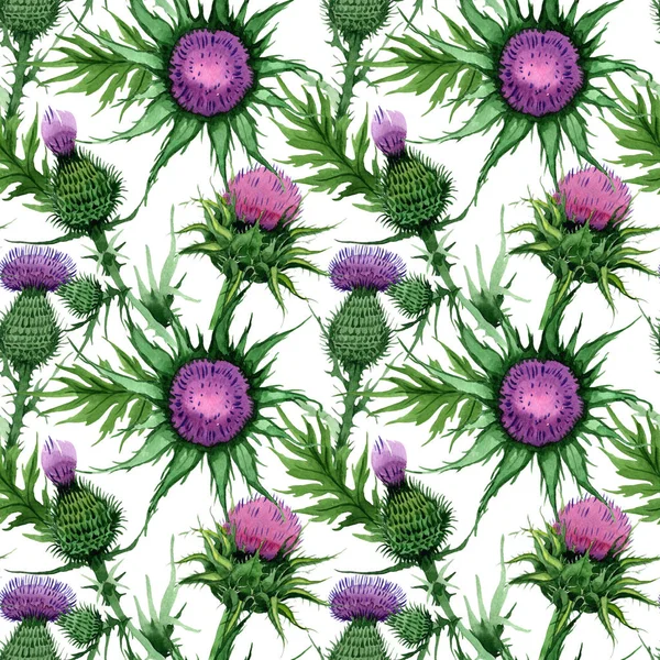 Kır çiçeği budyak çiçek deseni suluboya tarzında.