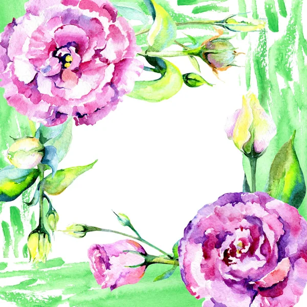 Цветочная рама из цветка эустомы в акварельном стиле . — стоковое фото