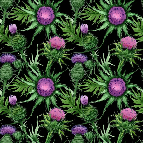 Kır çiçeği budyak çiçek deseni suluboya tarzında.