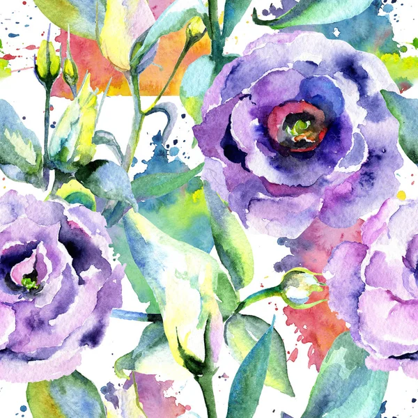 Wildflower eustoma flower pattern in a watercolor style. — Stock Photo, Image