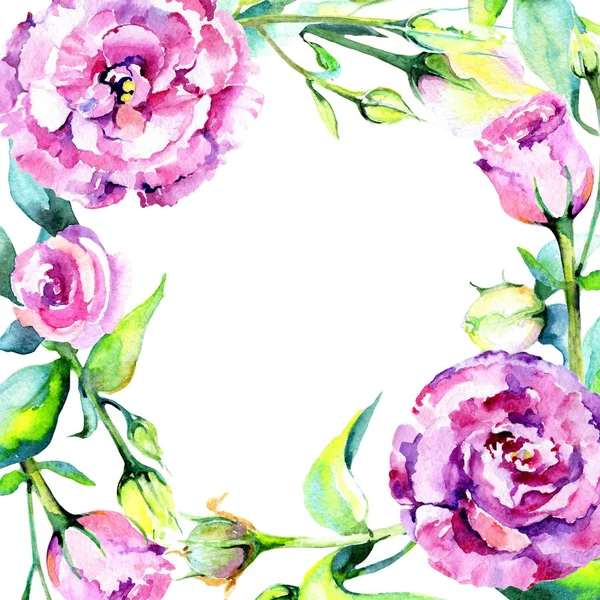 Kır çiçeği eustoma çiçek çerçeve suluboya tarzında.