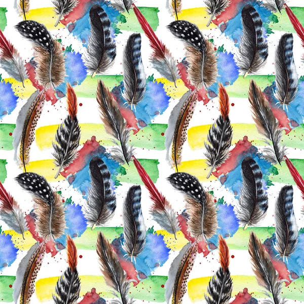 Suluboya kuş tüyü desen Wing.