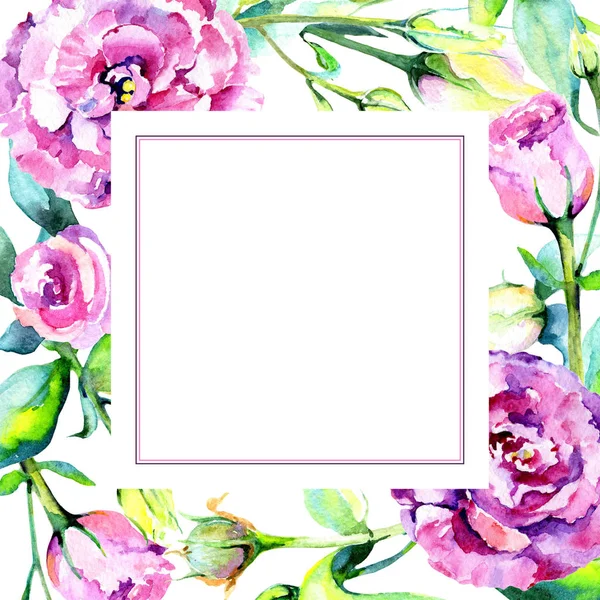 Kır çiçeği eustoma çiçek çerçeve suluboya tarzında.