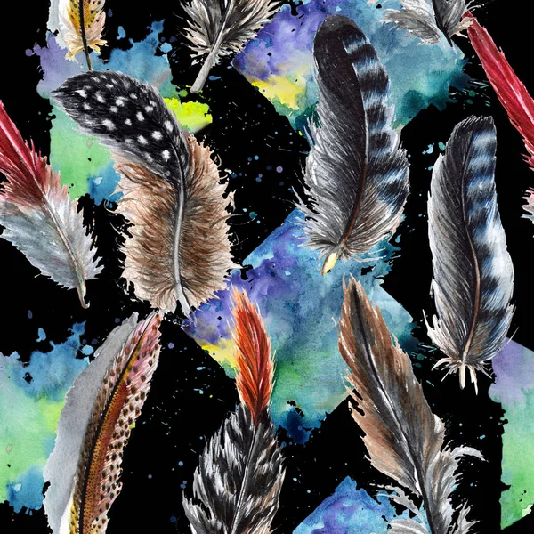 Aquarell Vogelfedermuster vom Flügel. — Stockfoto