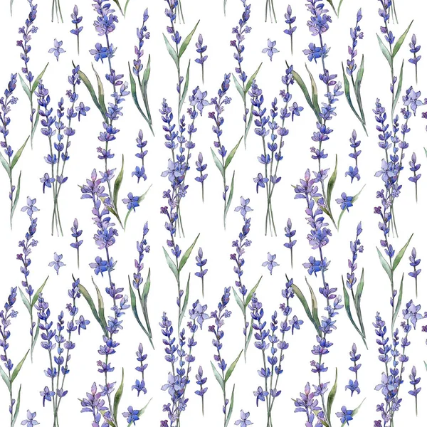 Kır çiçeği lavanta çiçek deseni suluboya tarzında.