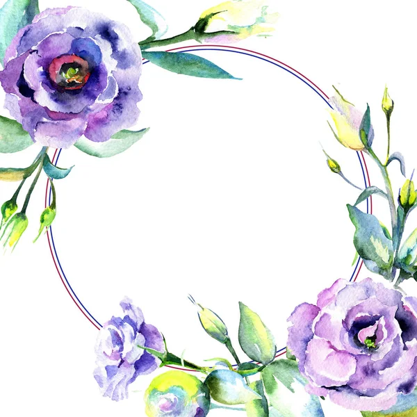 Kır çiçeği eustoma çiçek çerçeve suluboya tarzında.